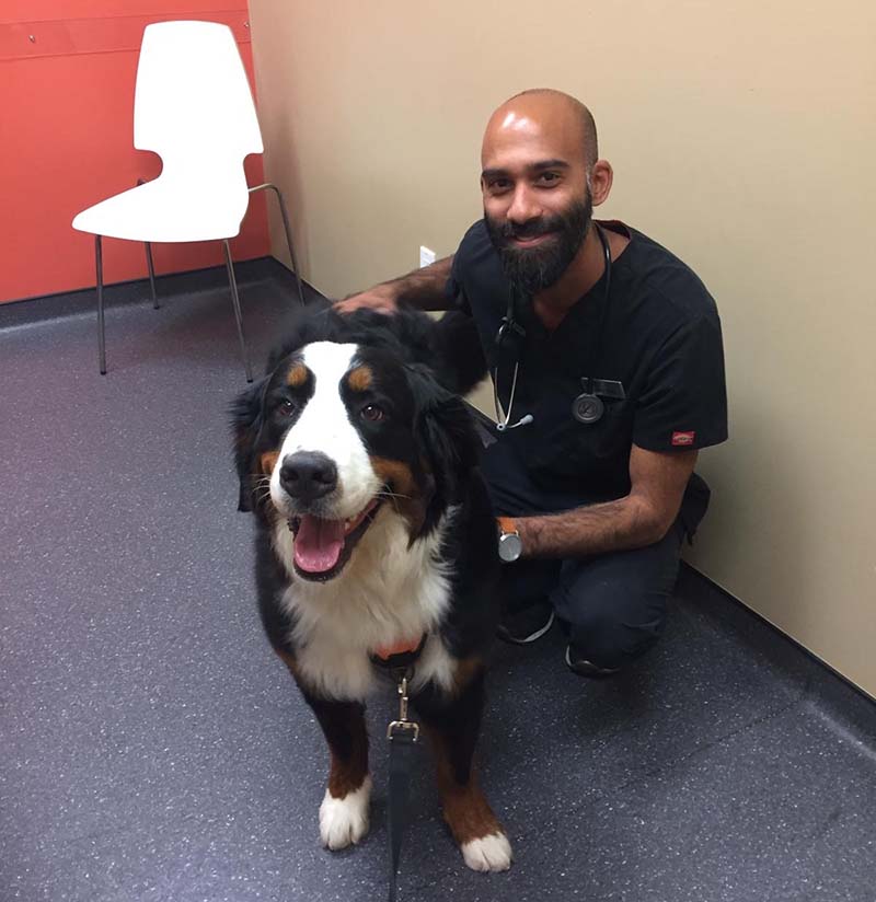 vet smiling with dog