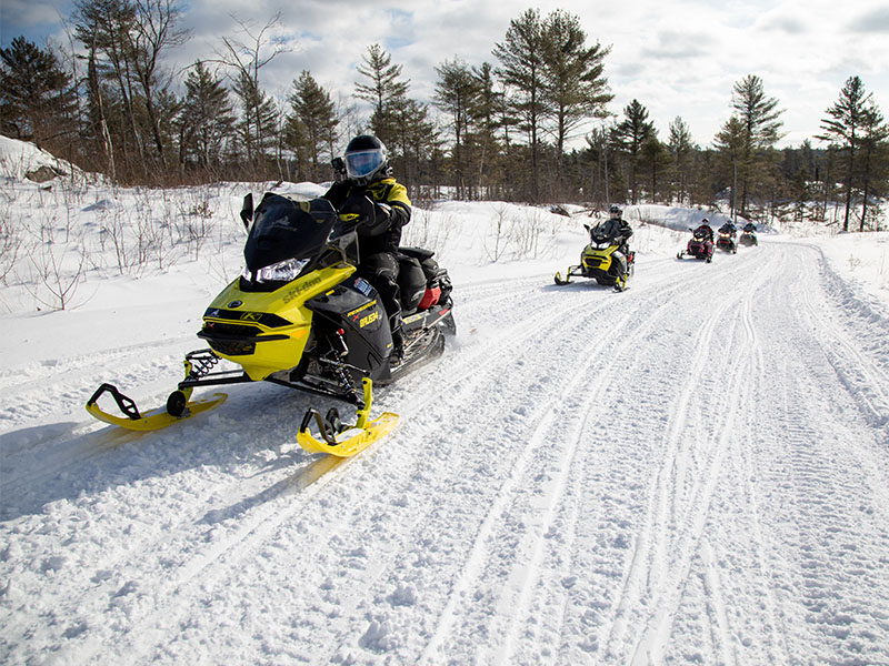 group of people on snow mobiles