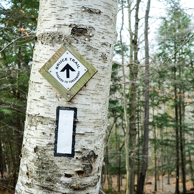 bruce trail marker