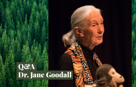 Q&A with Dr. Jane Goodall