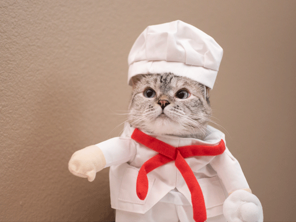 Nala Cat in a chef costume