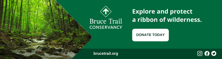 bruce_trail