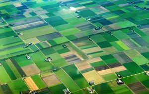 Technologie satelitarne dla innowacyjności w rolnictwie