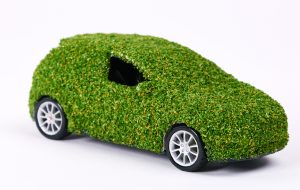 Bil dekket av gress