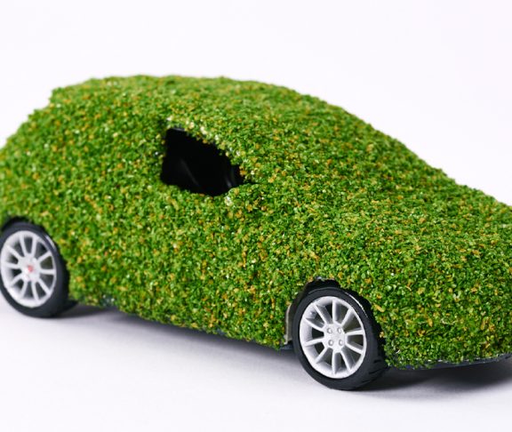 Bil dekket av gress