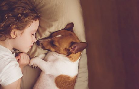 Barn og hund sover
