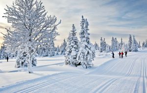 Skispor i Lillehammer