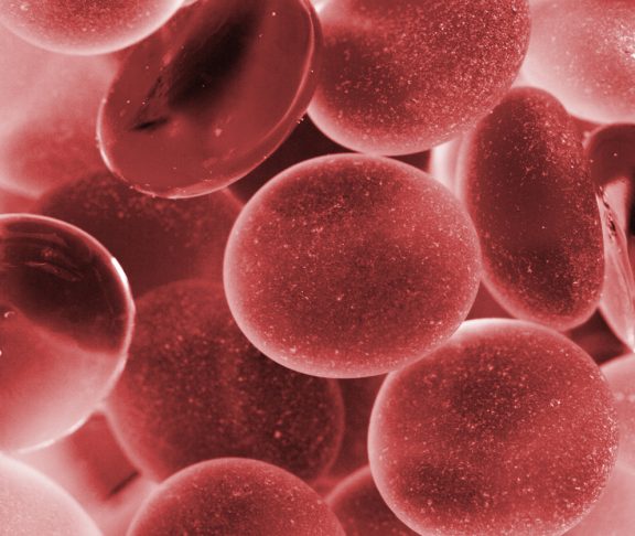 Blood cells