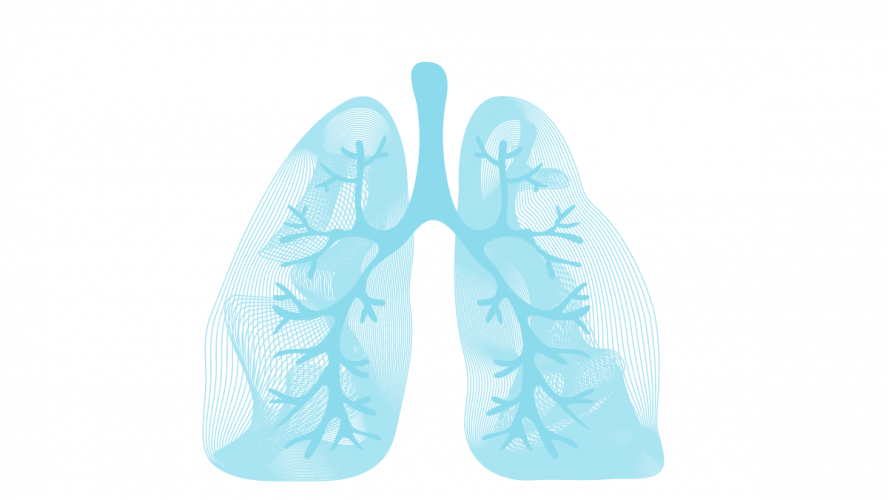 pulmonaler Hypertonie (PAH)