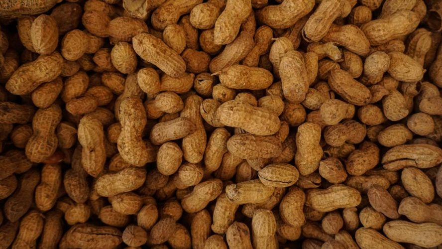 peanut allergy allergens