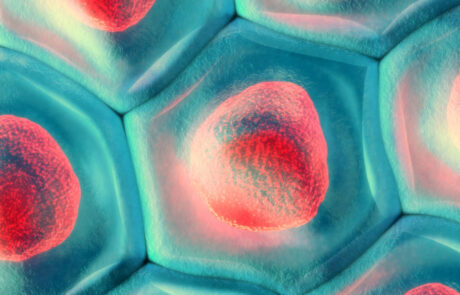 3d illustration of a top view on blue cell pattern with red cell nucleus