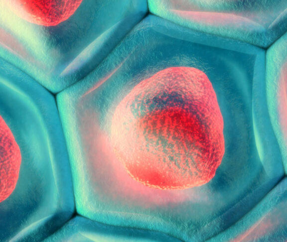 3d illustration of a top view on blue cell pattern with red cell nucleus
