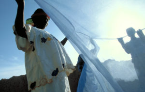 women setting up bed net