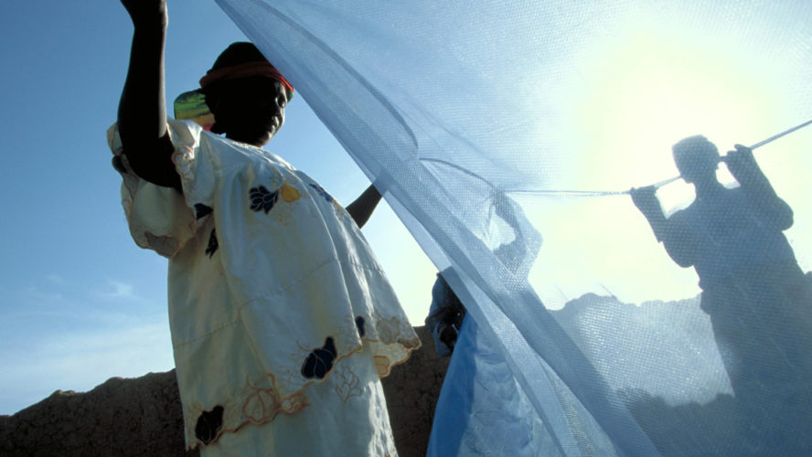 women setting up bed net
