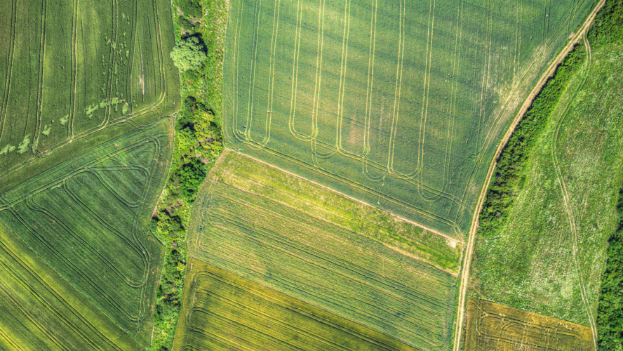 Aerial Agriculture: Uncovering Patterns from Above.