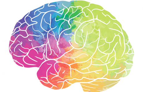 Tegnet hjerne i forskellige farver symbolisere sygdommen CTX