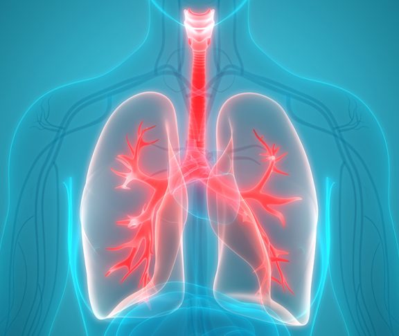 Scanning af PAH lungesygdom