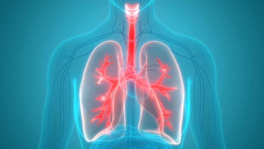 Scanning af PAH lungesygdom