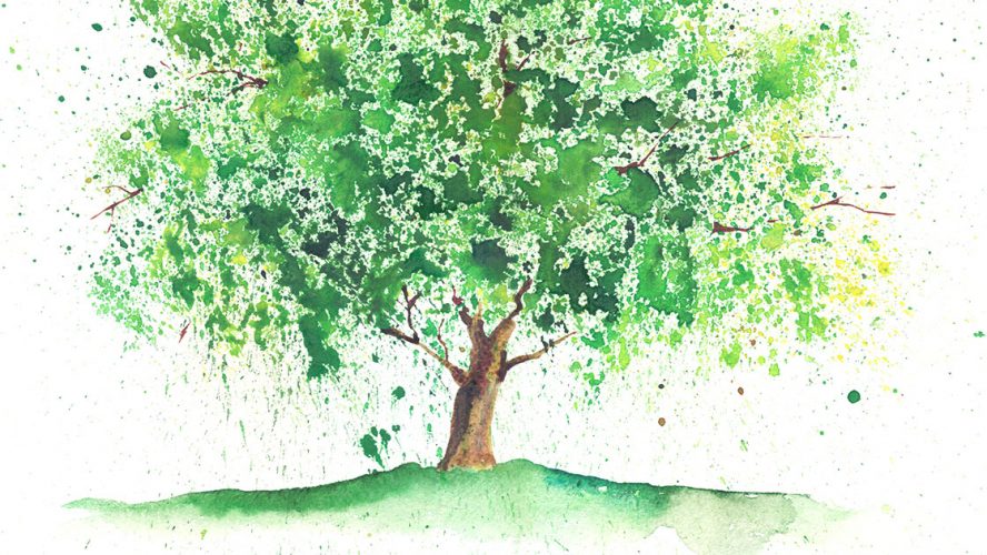 Træ malet i akvarel