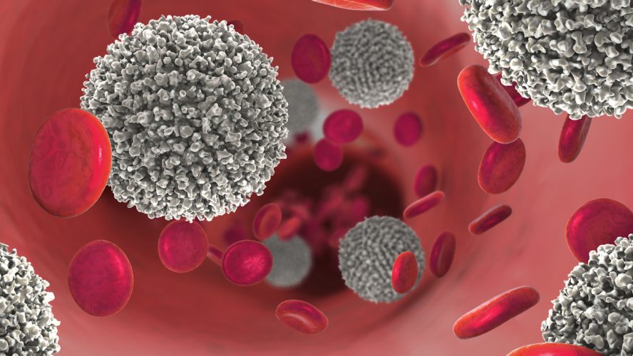 3d illustration of the strong increase of non-functional white blood cells called leukemia cells leading to blood cancer disease
