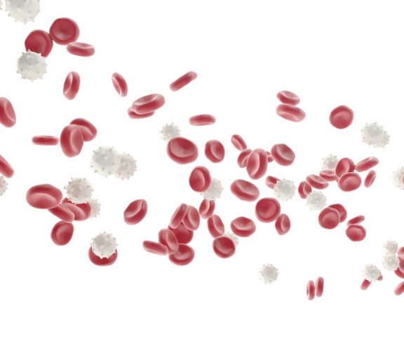 Red and white blood cells isolated on white background. Medical concept, 3d illustration