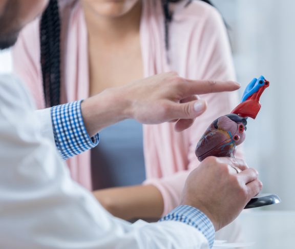 Unrecognizable doctor points to something on a human heart model. He is discussing his patient's diagnosis with the patient.
