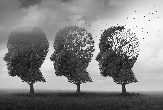 Concept of memory loss and brain aging due to dementia and alzheimer's disease as a medical icon with fall trees shaped as a human head losing leaves with 3D illustration elements.