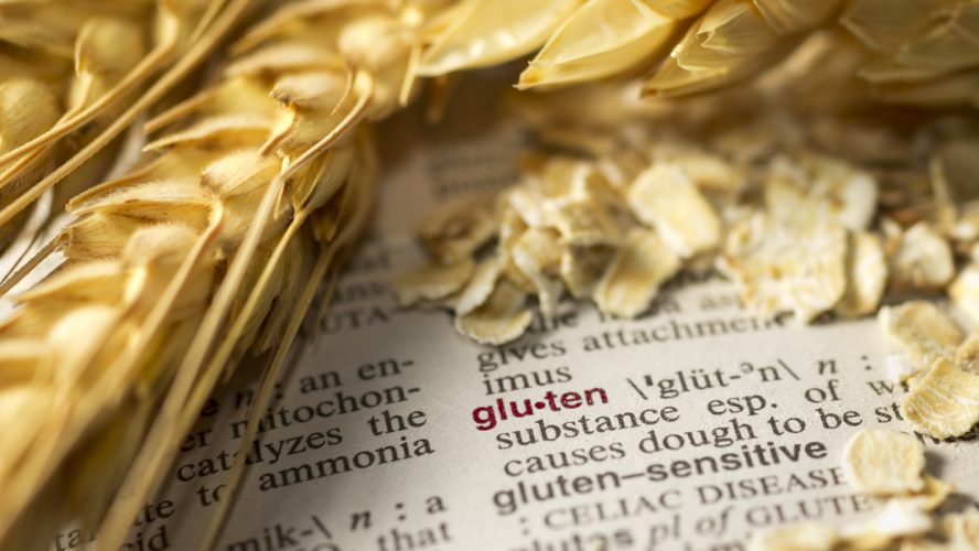 The definition of gluten as seen in a medical dictionary is surrounded by wheat and oatmeal.