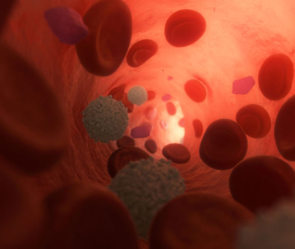 Healthy Blood Plasma with Cells flowing inside a Vein. 3d Illustration