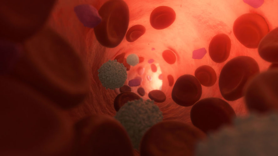 Healthy Blood Plasma with Cells flowing inside a Vein. 3d Illustration