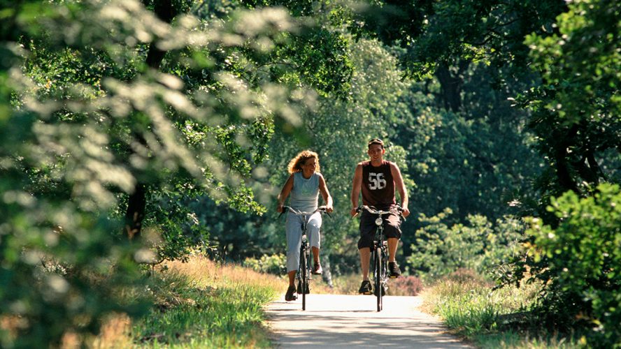 Twee personen fietsen door groen landschap