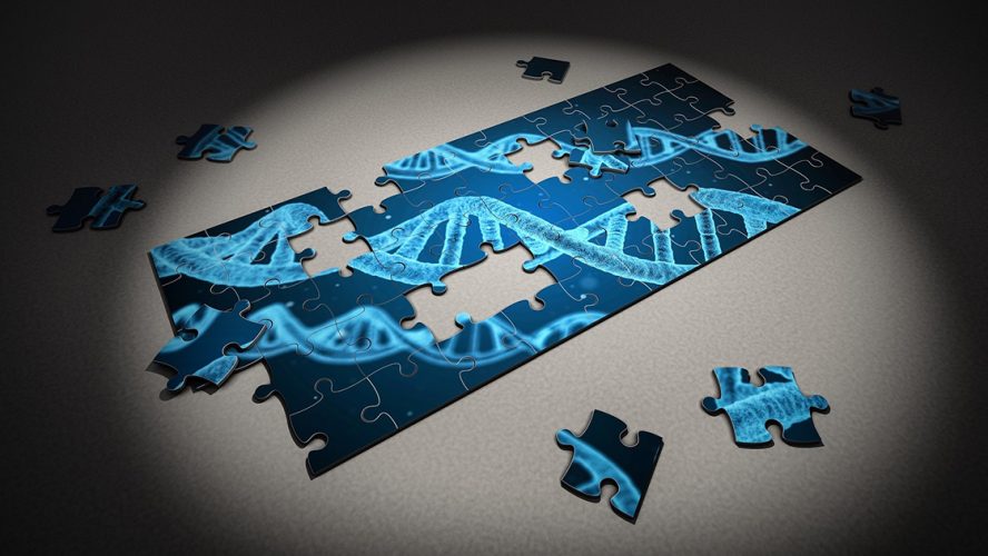 Puzzel met DNA-streng