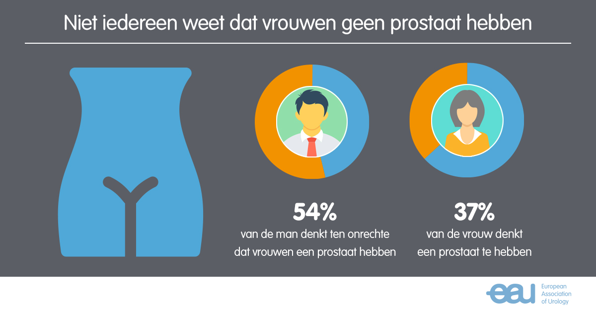 54% van de man denkt ten onrechte dat vrouwen een prostaat hebben. 37% van de vrouwen denkt een prostaat te hebben.